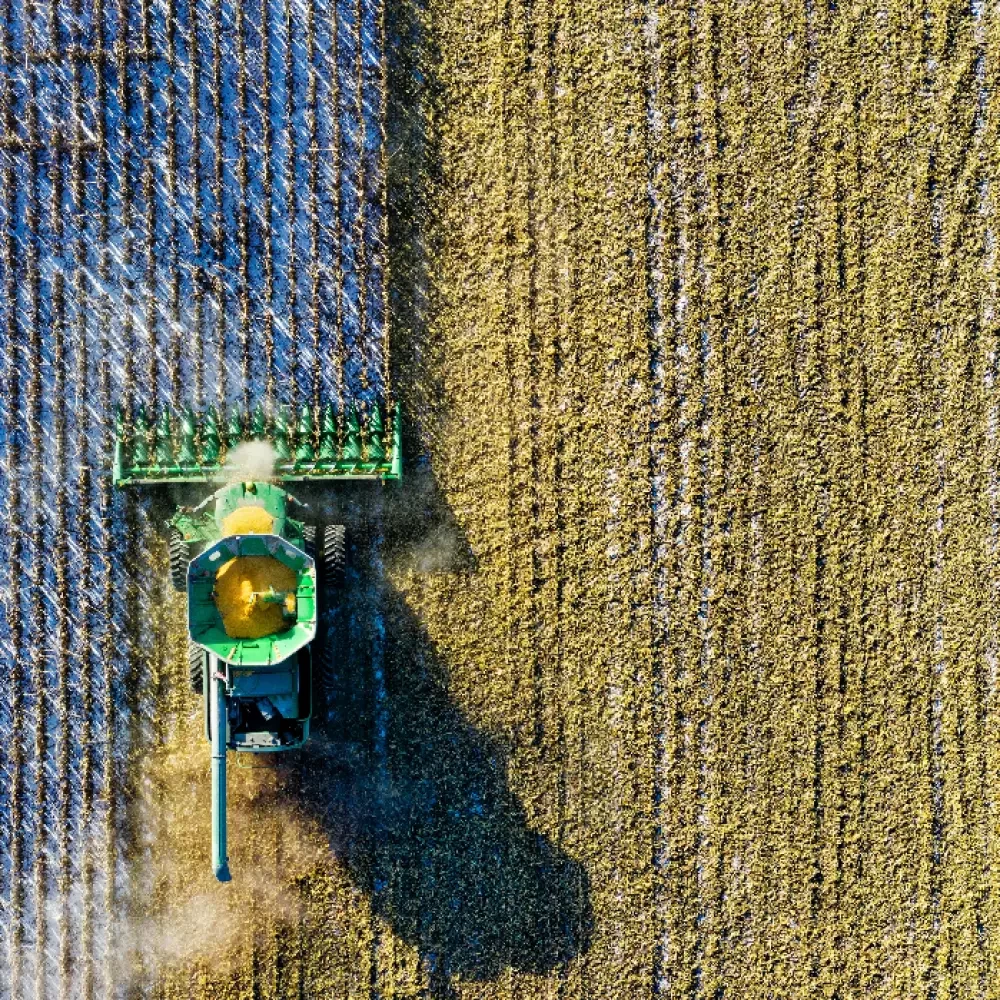 Study Agriculture in Australia